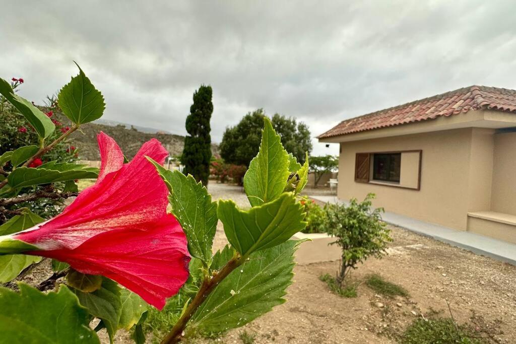 Vila Peaceful Oasis With Magical Sea Views And A Pool Santa Cruz de Tenerife Exteriér fotografie