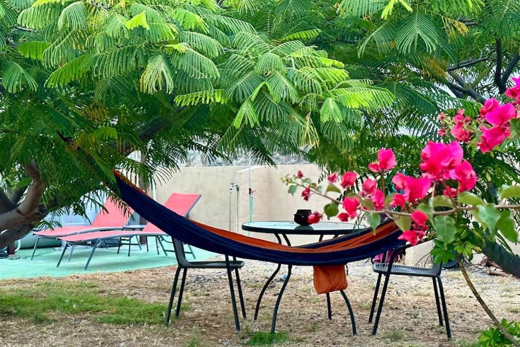 Vila Peaceful Oasis With Magical Sea Views And A Pool Santa Cruz de Tenerife Exteriér fotografie