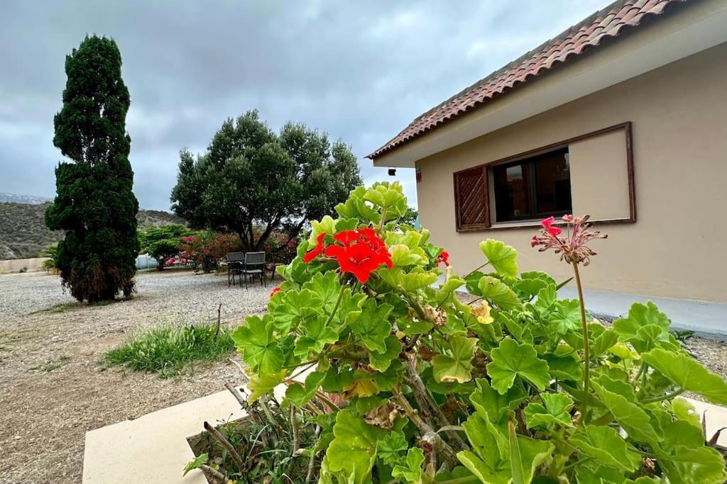 Vila Peaceful Oasis With Magical Sea Views And A Pool Santa Cruz de Tenerife Exteriér fotografie